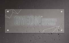 Gyeon LED Type 1 Gyeon Certified Detailer 100x40 cm