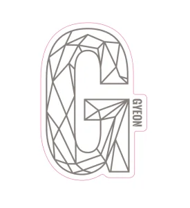 Gyeon G Sticker Silver 100x65.6 mm