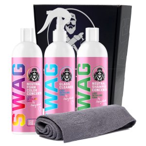 Sada autokosmetiky na mytí exteriéru auta SWAG Lady_1