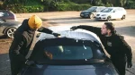 Sady na kabriolet