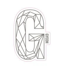 Gyeon G Sticker Silver 100x65.6 mm