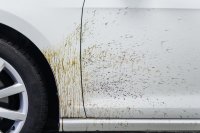 Speciální silný odstraňovač asfaltu Koch Chemie Teerwäsche A (TEA) 1 litr