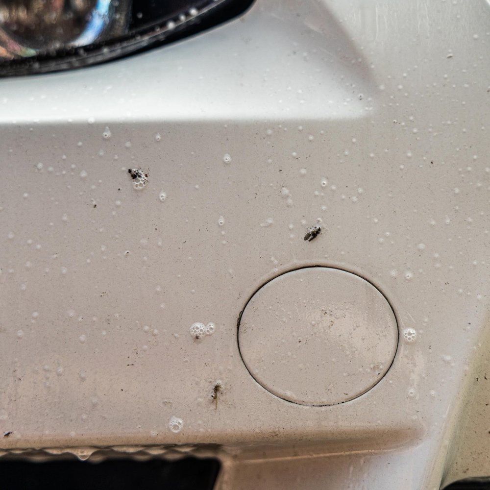 Odstraňovač hmyzu Auto Finesse Citrus Power 5000 ml - foto 5